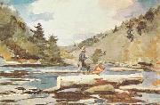 Hudson River, Logging